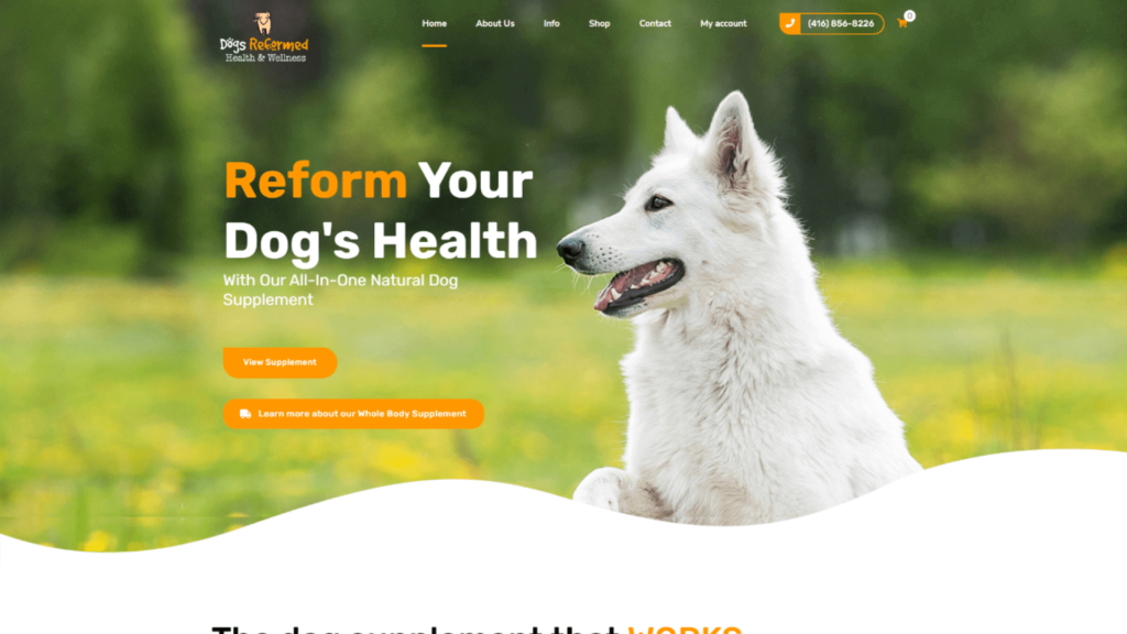 Image of Dogs Reformed Health and Wellness website above the fold.