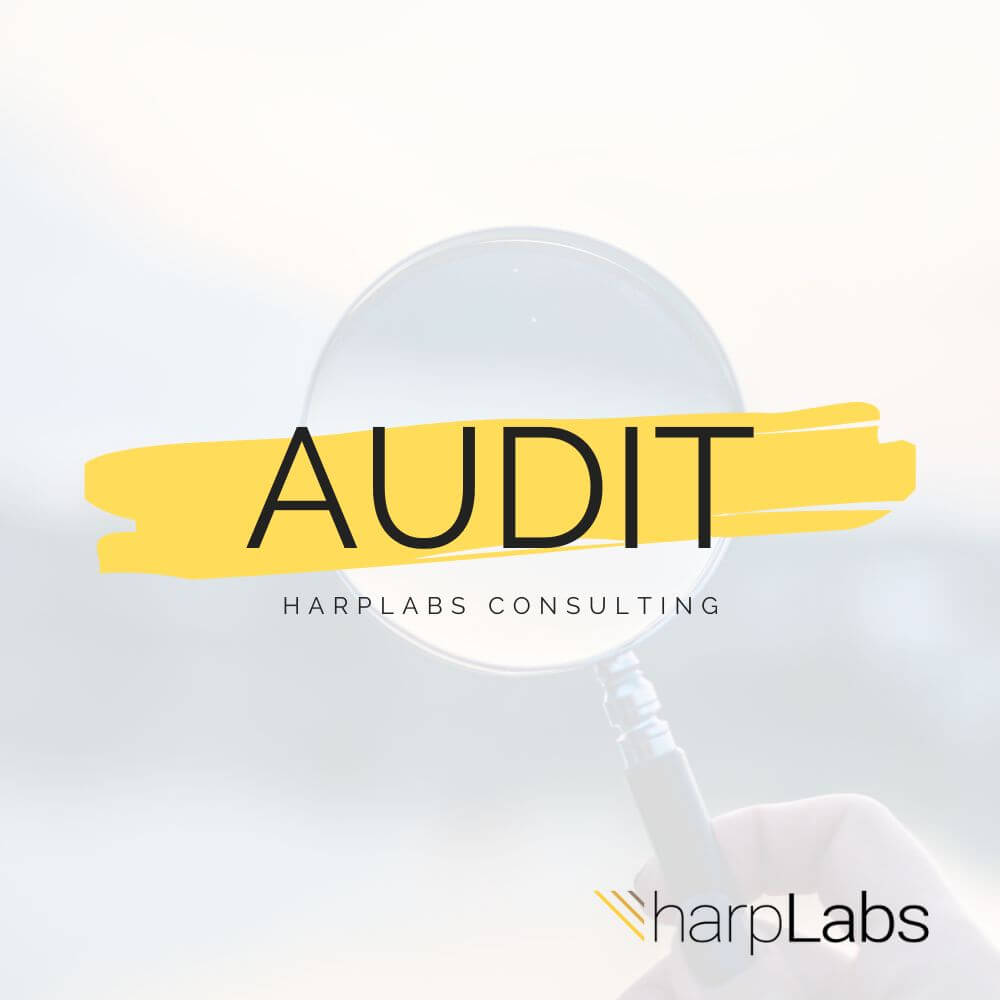 Audit HarpLabs Inc 